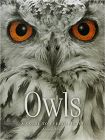 Taylor Owls.jpg